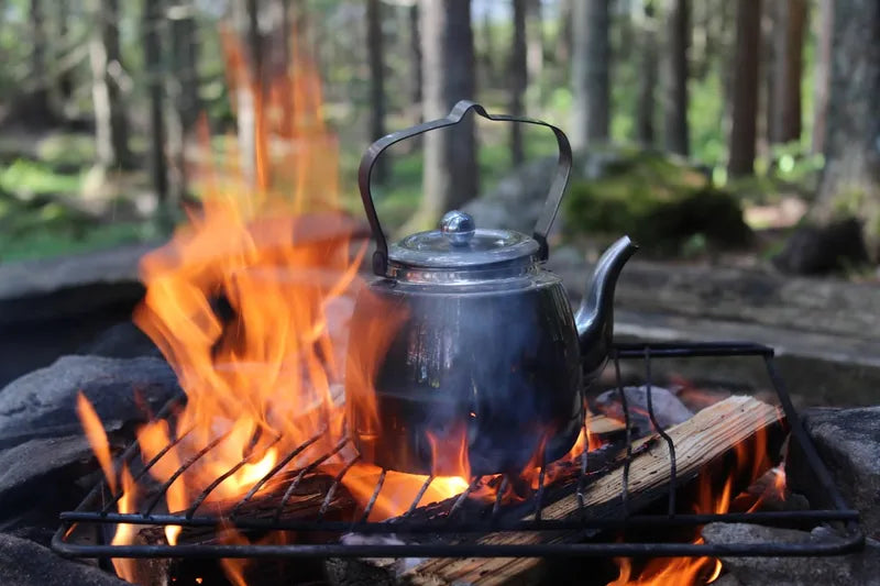 Kettle heating over a campfire at a forest campsite