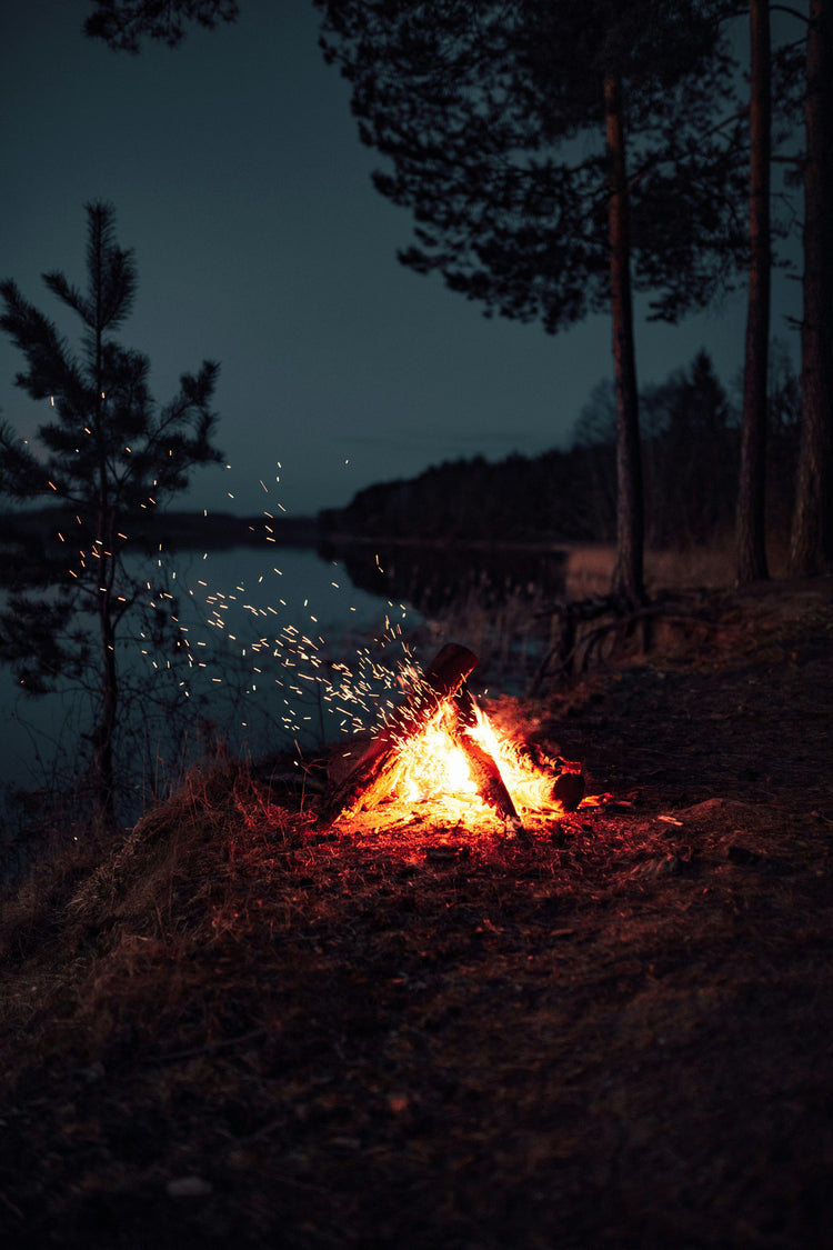 Campfire burning at night by a lakeside forest